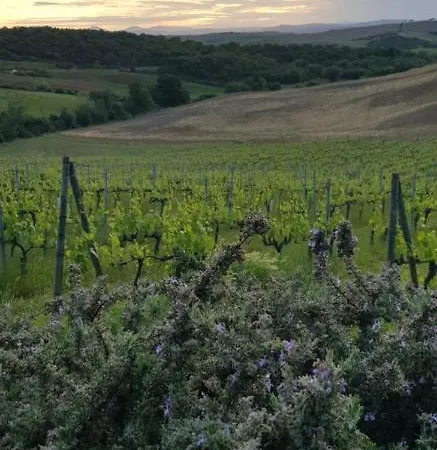 Bauernhof Bagnaia *