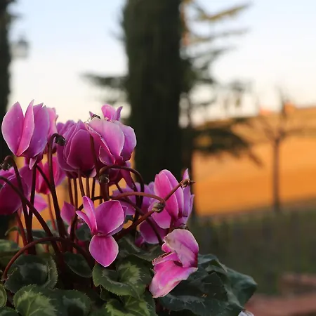 Agriturismo Bagnaia Farm stay *